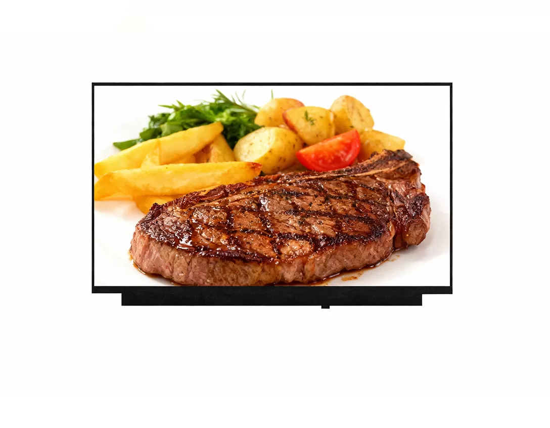 10.1 inch touch screen display