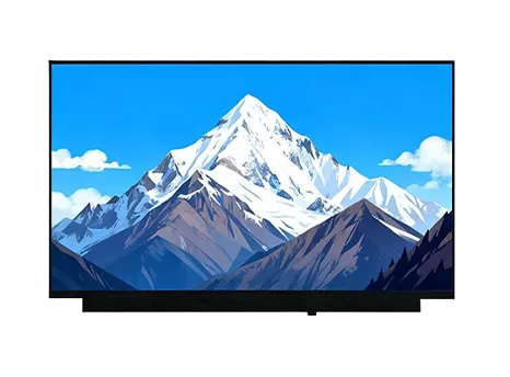 10.1 Inch Notebook Display