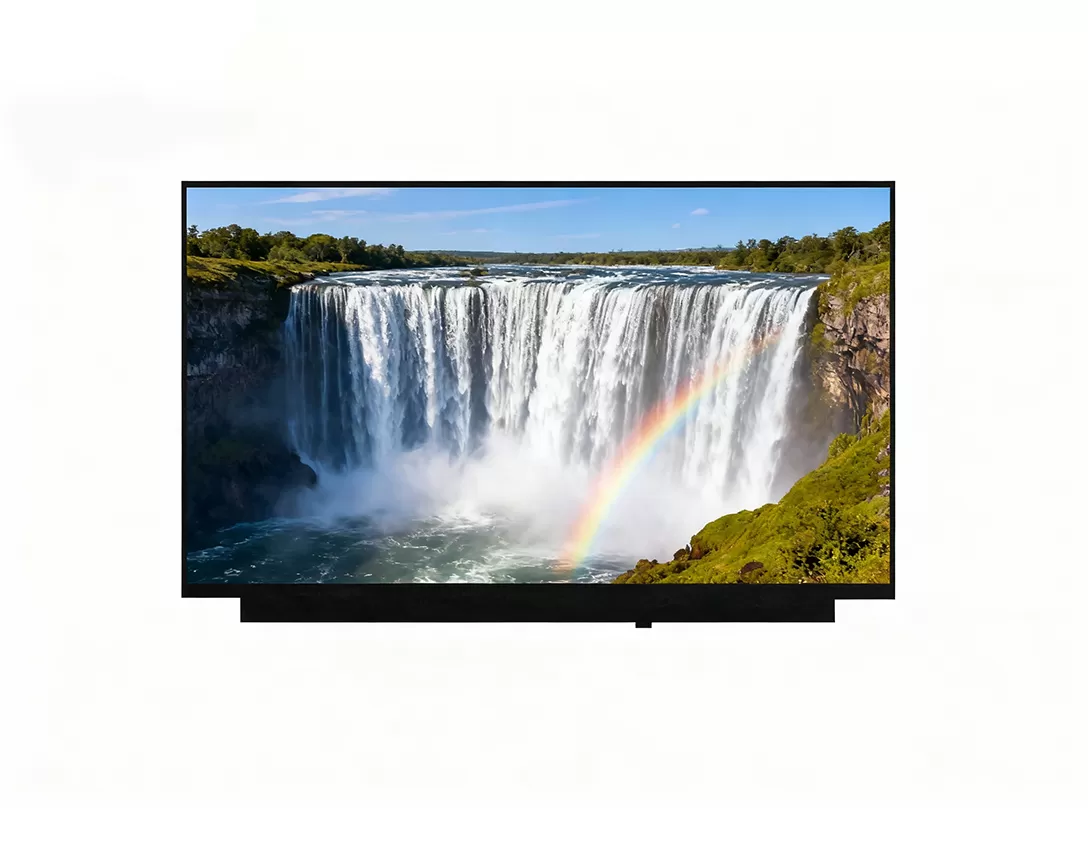 11.6 inch laptop display