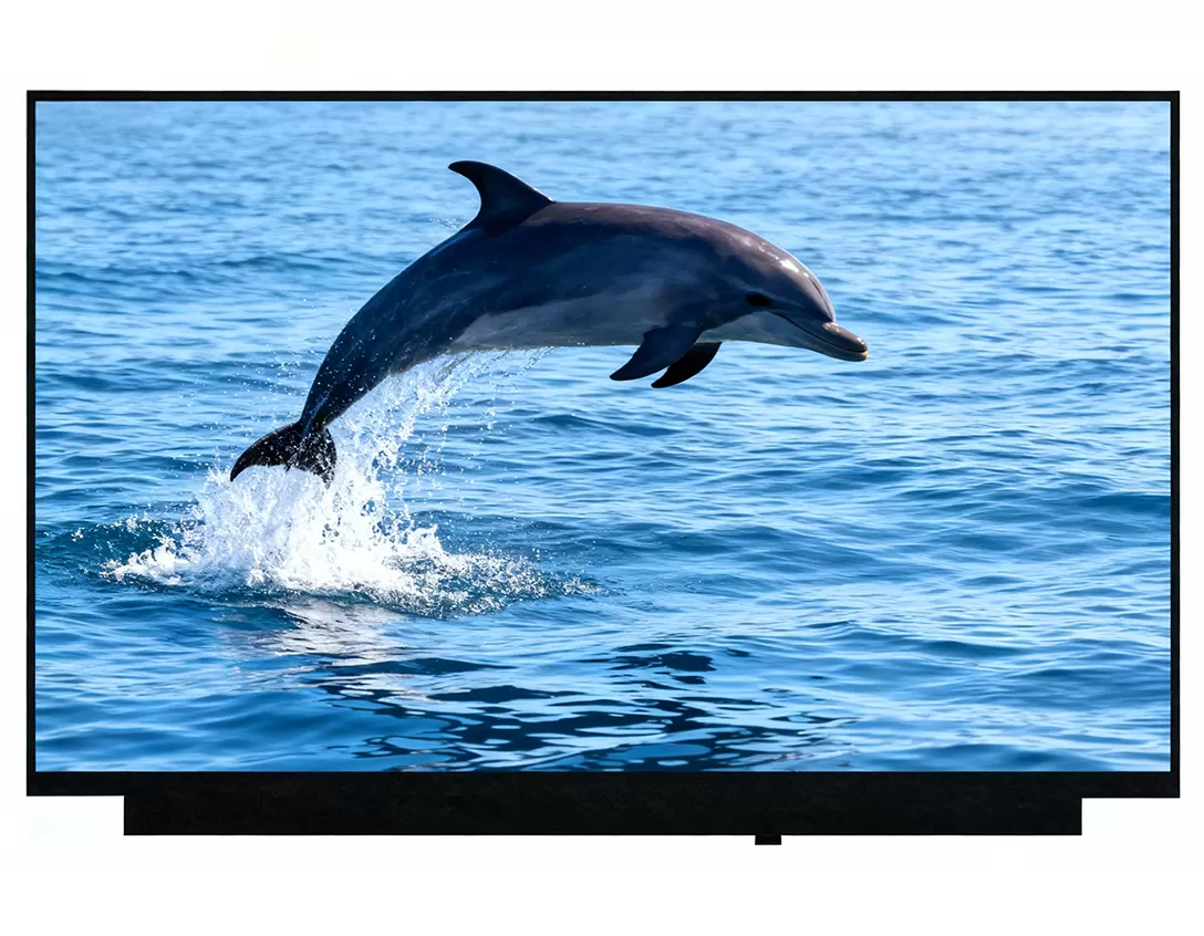 laptop display 15.6 inch