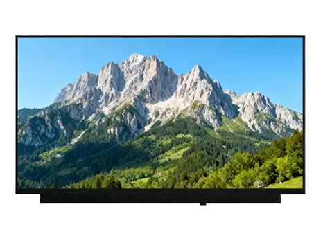 15.6 Inch Notebook Display