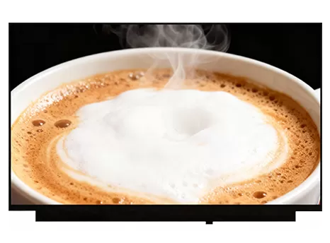 16.0 Inch Notebook Display