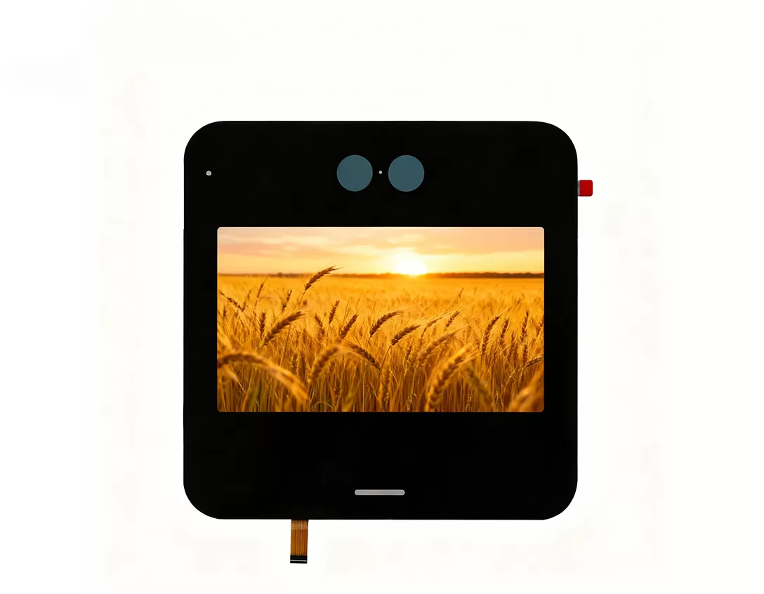 5 inch display screen