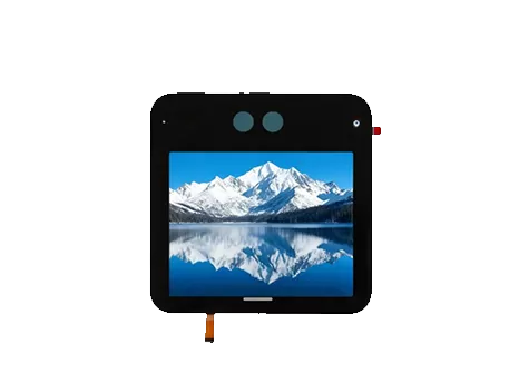 5.0 Inch Industrial Control Panel