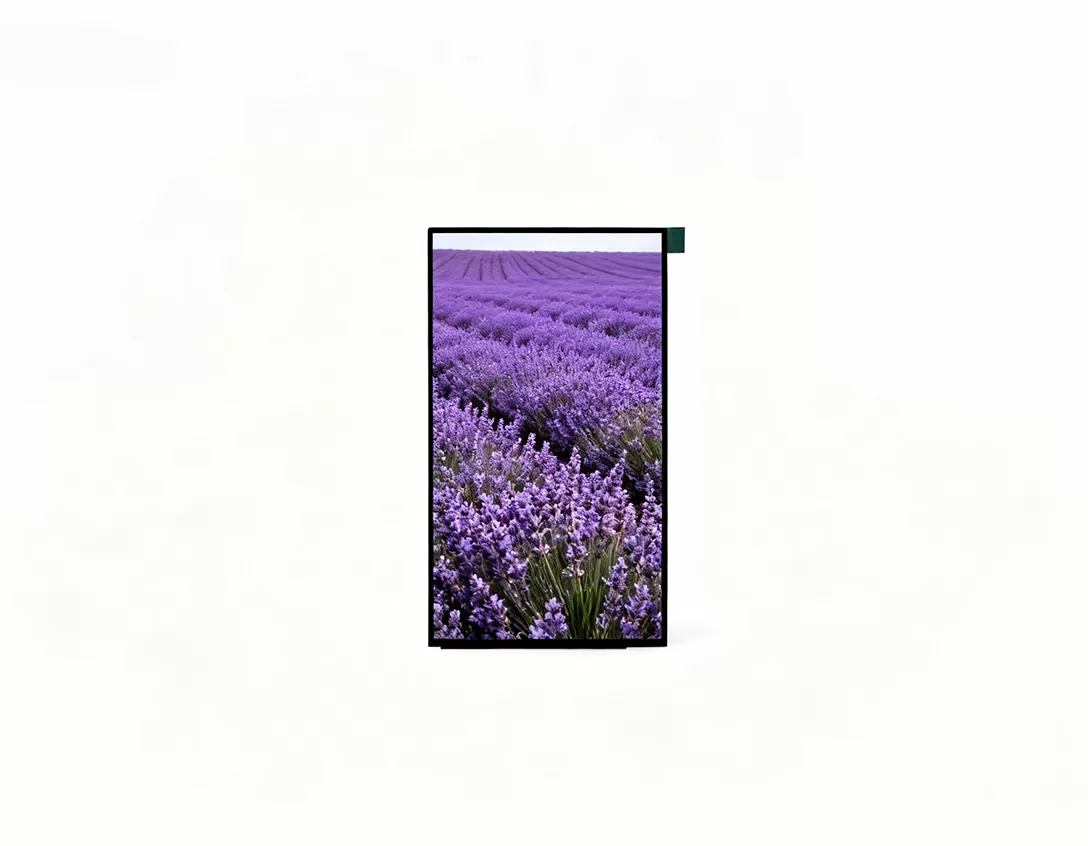 6.95 inch display screen