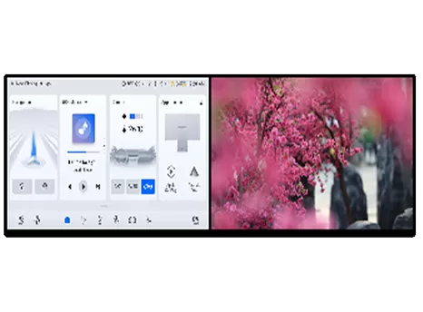 Ultra-narrow Bezel Dual Aumotive Display