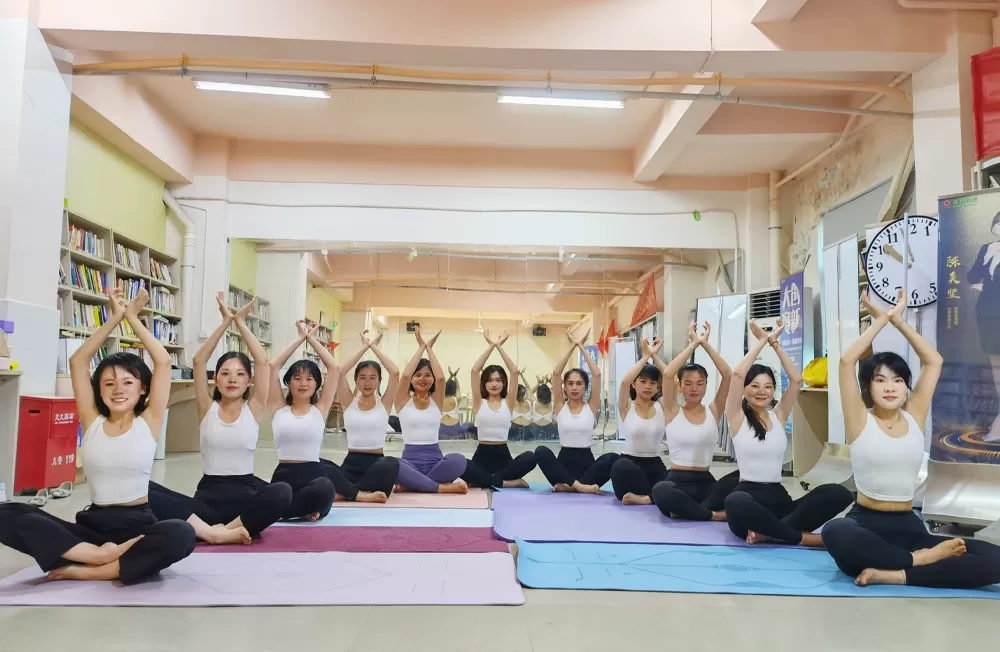 Dance & Aerobics Association