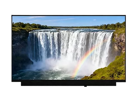 11.6 Inch Notebook Display