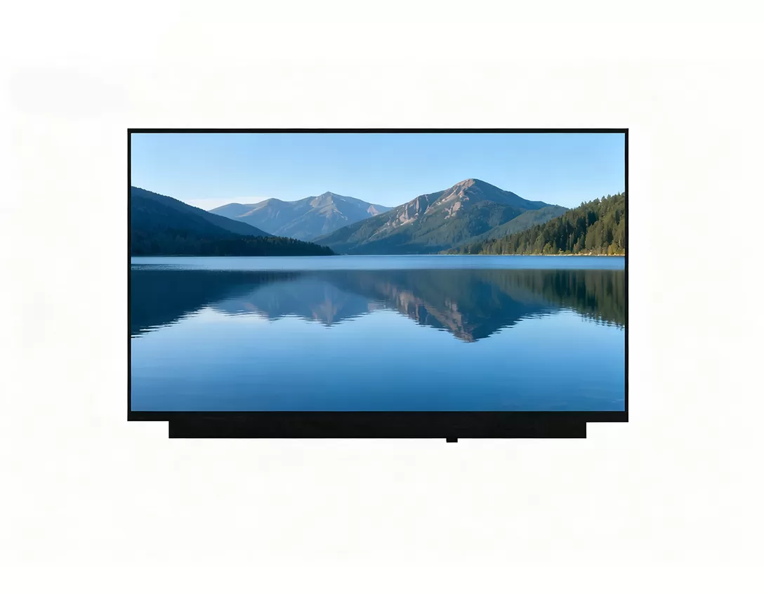 laptop screen size 11.6