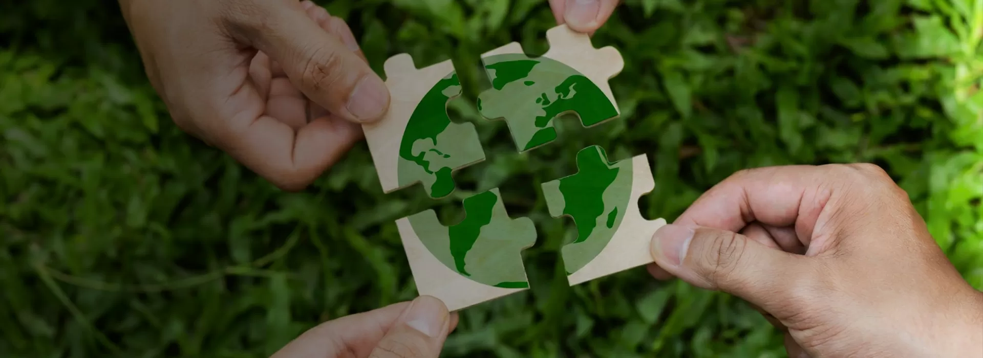 Sustainbility of K&D Displays