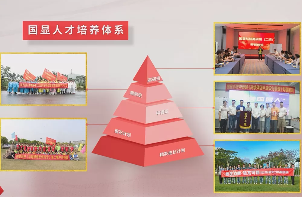 K&D Talent Development System